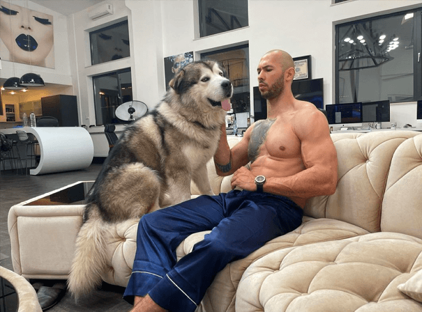 Andrew Tate in his house with his dog