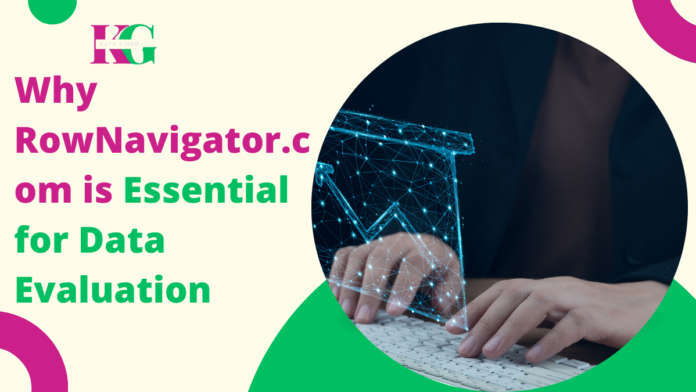 Why RowNavigator.com is Essential for Data Evaluation